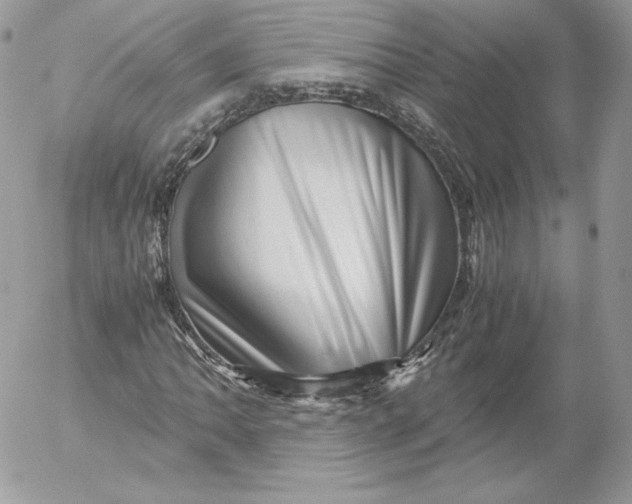 X0000052601062200507221628