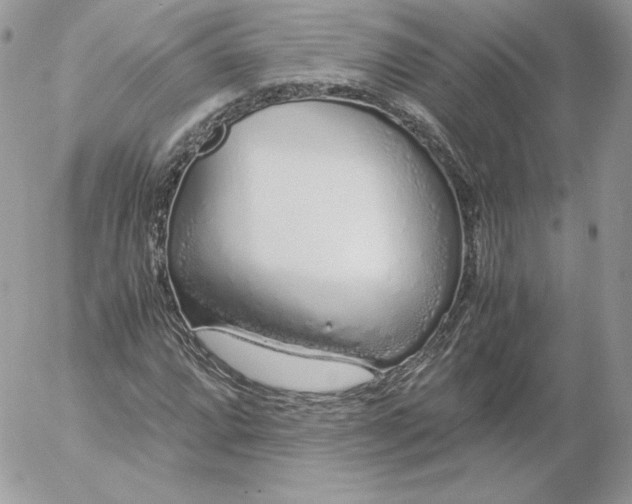 X0000052601064200507221628