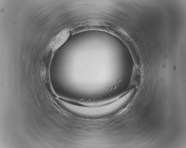 X0000052601065200507221628