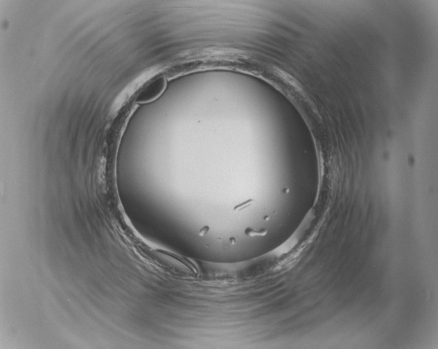 X0000052601066200507221628