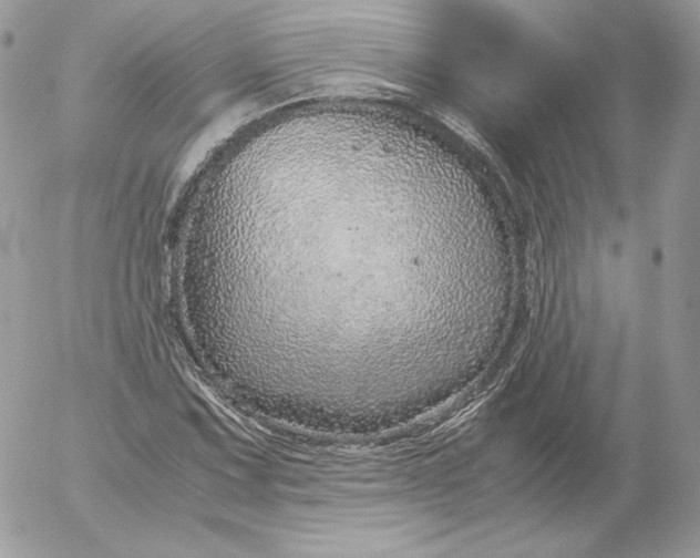 X0000052601067200507221628