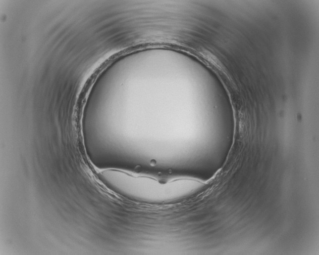 X0000052601068200507221628