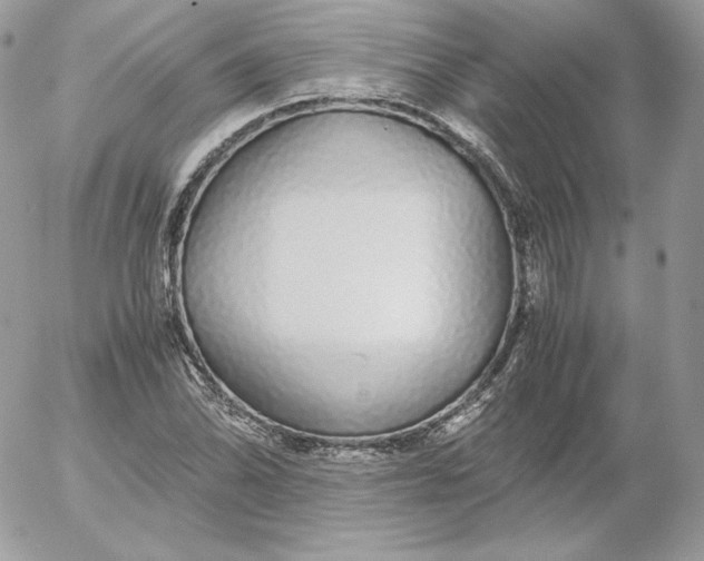 X0000052601070200507221628