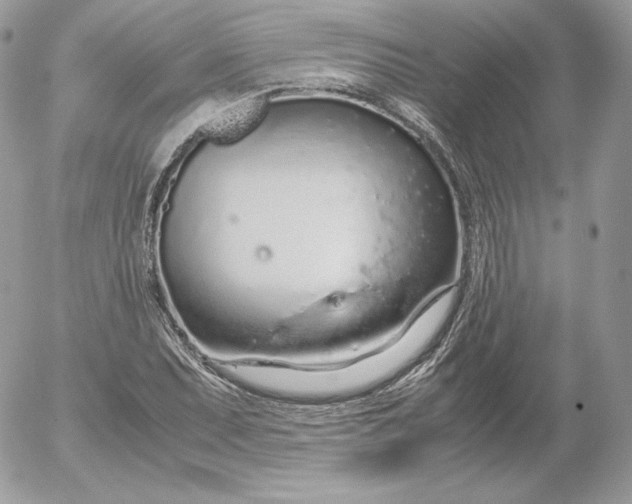 X0000052601071200507221628