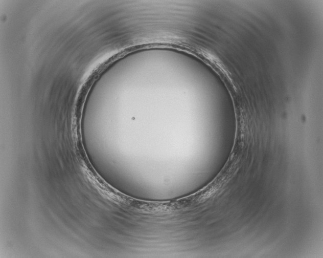 X0000052601072200507221628