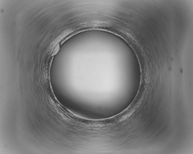 X0000052601073200507221628