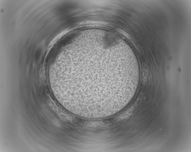 X0000052601074200507221628