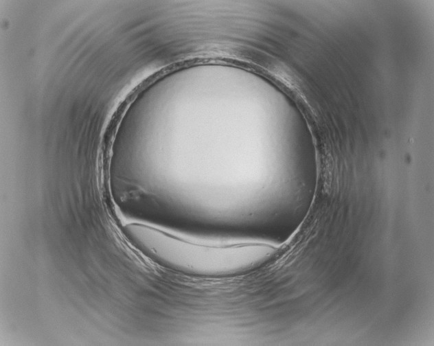 X0000052601076200507221628