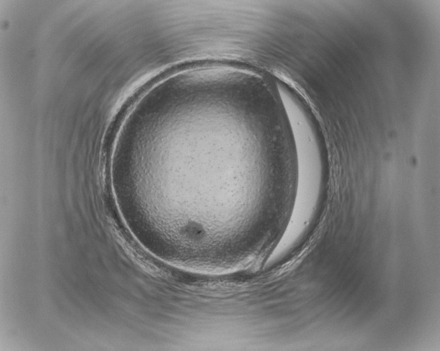 X0000052601077200507221628