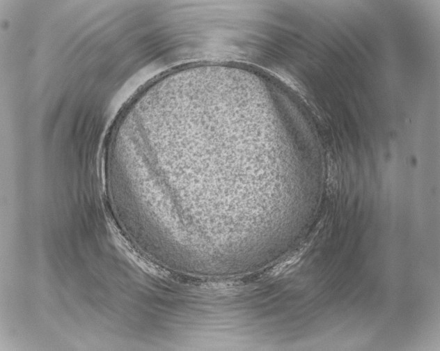 X0000052601078200507221628