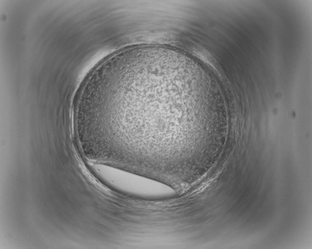 X0000052601079200507221628