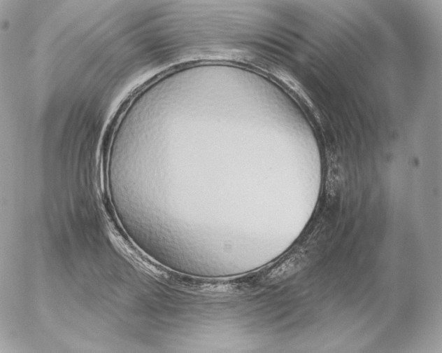 X0000052601080200507221628