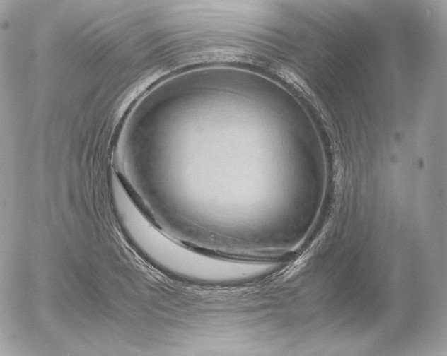 X0000052601081200507221628