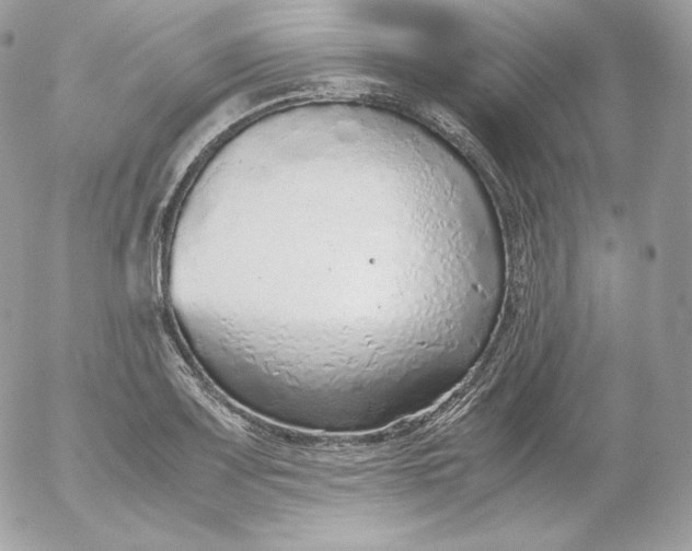 X0000052601083200507221628