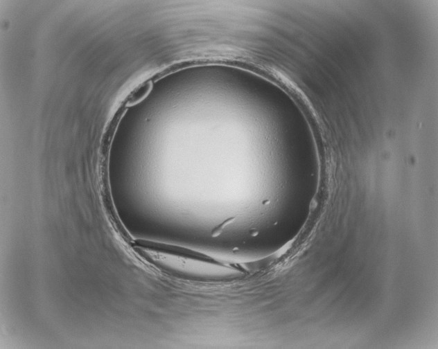 X0000052601085200507221628