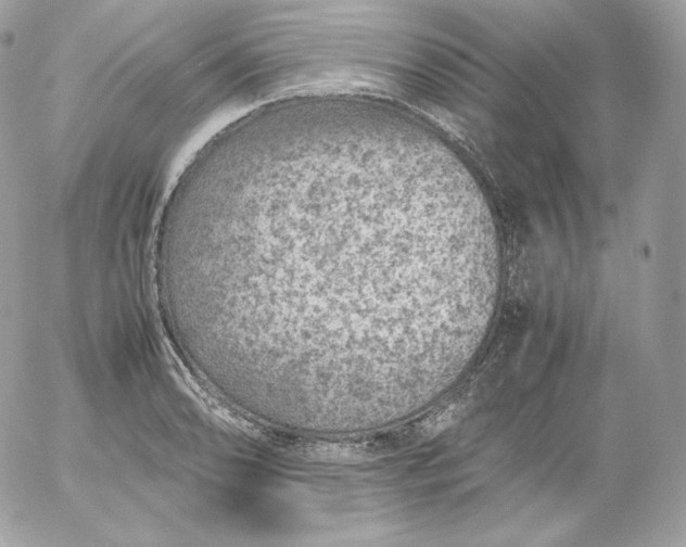 X0000052601086200507221628