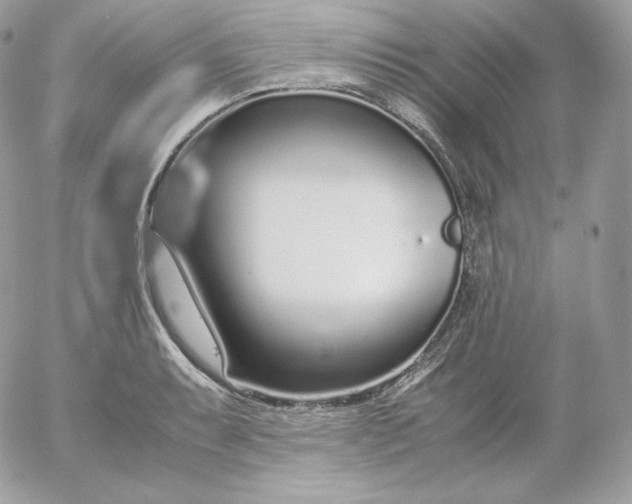 X0000052601087200507221628