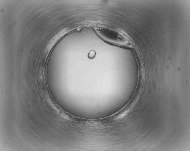 X0000052601089200507221628