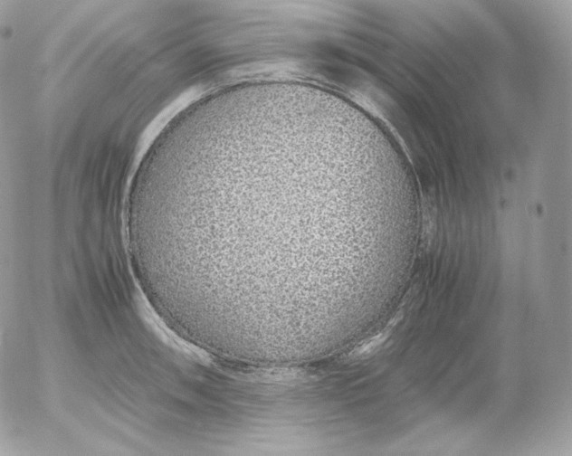 X0000052601090200507221628