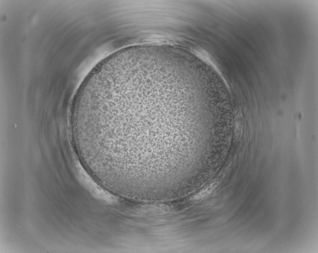 X0000052601091200507221628