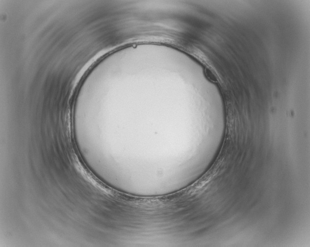 X0000052601092200507221628