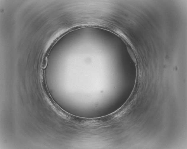 X0000052601093200507221628