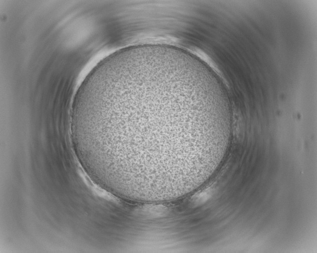 X0000052601094200507221628