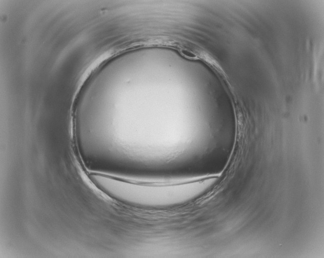 X0000052601095200507221627