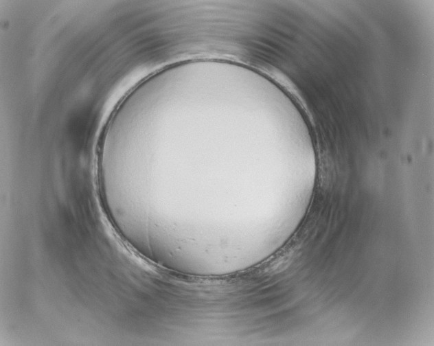 X0000052601096200507221627