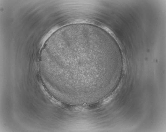 X0000052601097200507221627