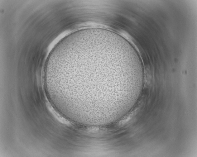 X0000052601098200507221627