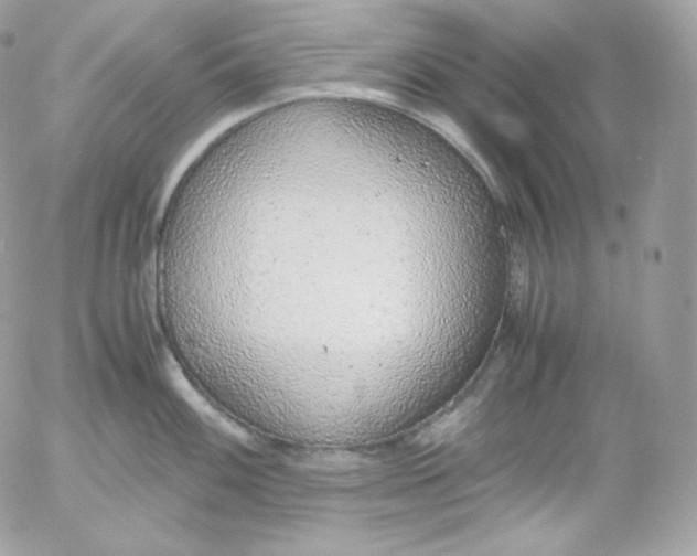 X0000052601100200507221627