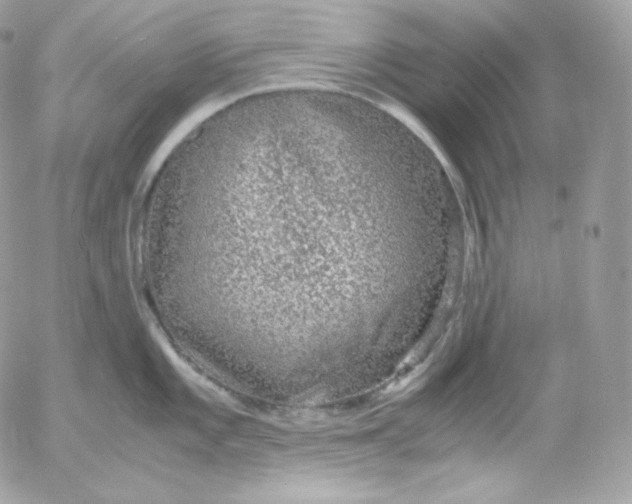 X0000052601101200507221627