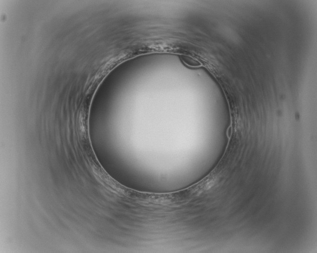 X0000052601106200507221627