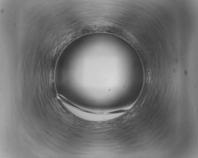 X0000052601108200507221627