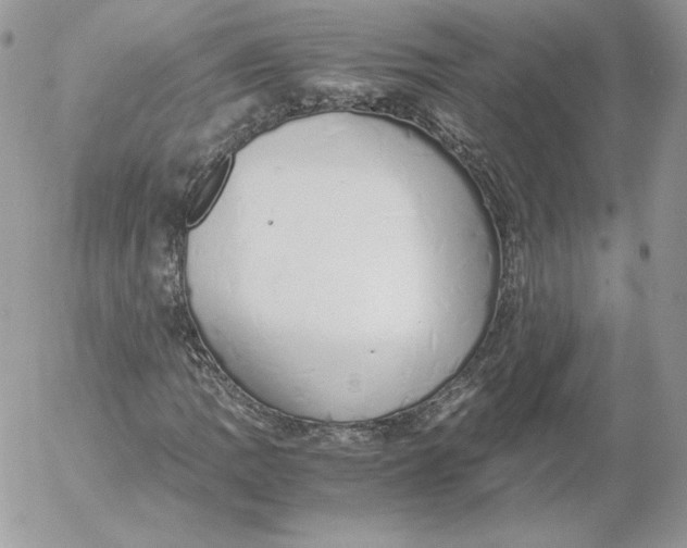 X0000052601109200507221627