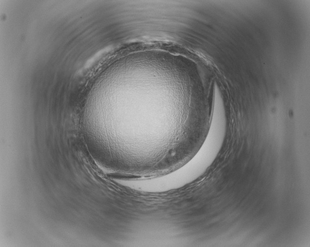 X0000052601110200507221627