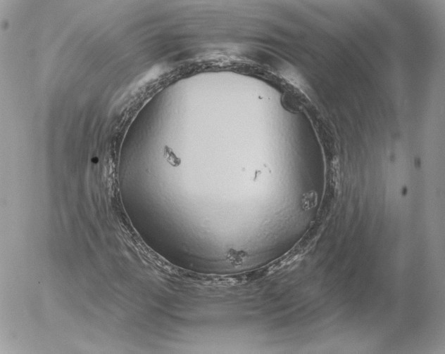 X0000052601111200507221627