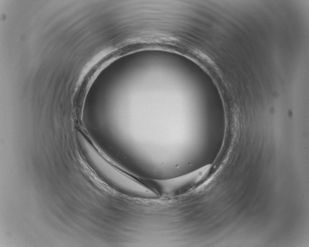 X0000052601114200507221627