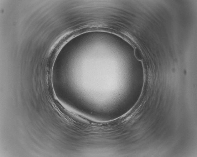 X0000052601115200507221627