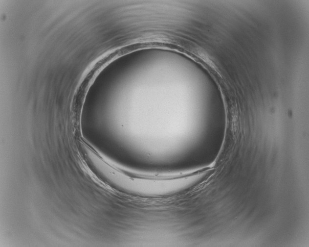 X0000052601116200507221627