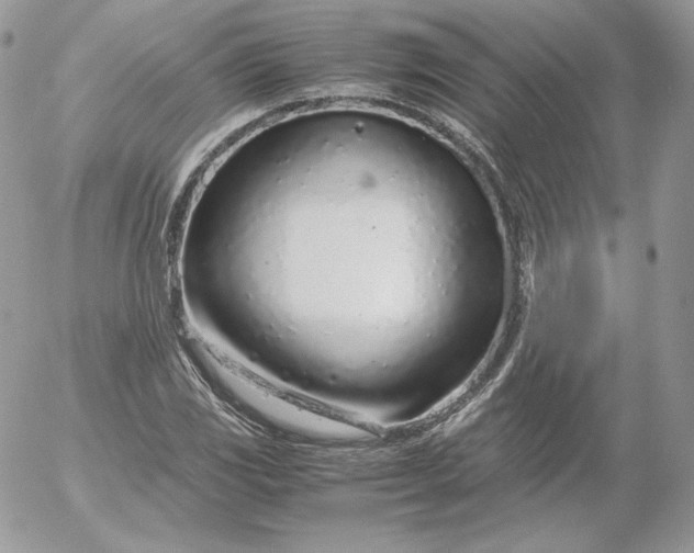 X0000052601117200507221627