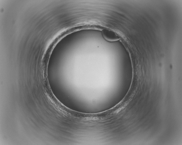 X0000052601118200507221627