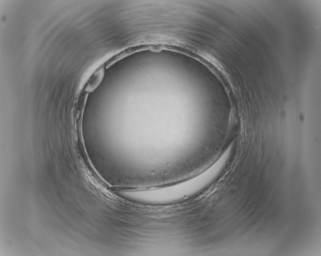 X0000052601120200507221627