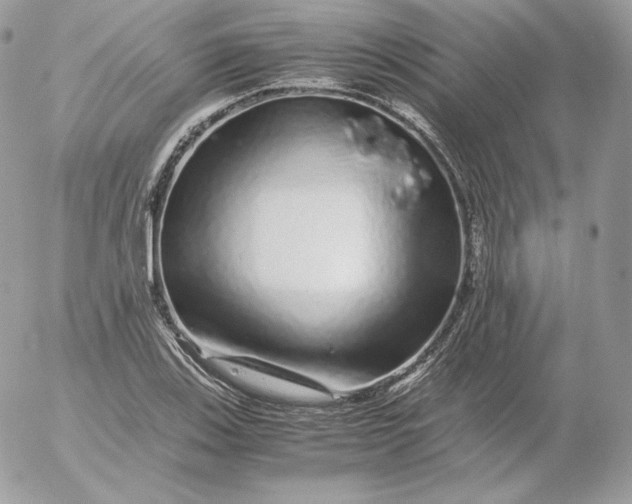 X0000052601123200507221627