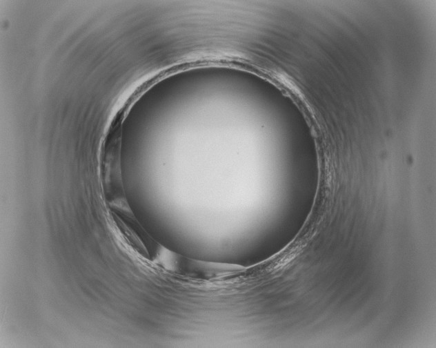 X0000052601124200507221627