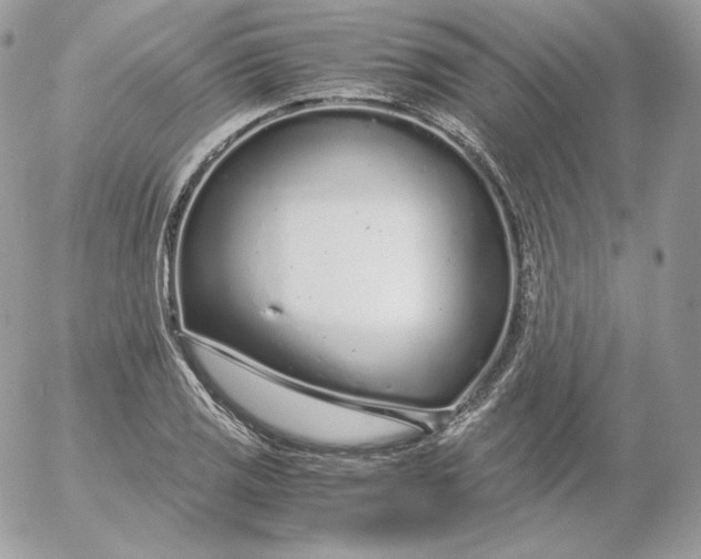 X0000052601125200507221627