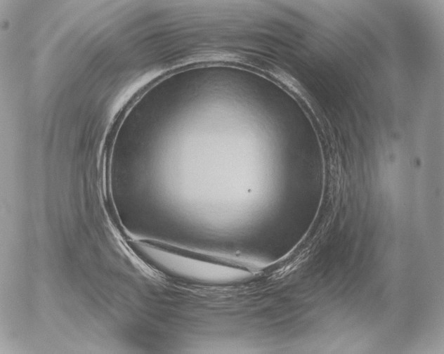 X0000052601127200507221627