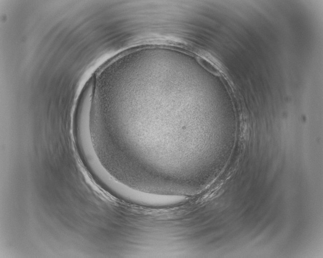 X0000052601128200507221627