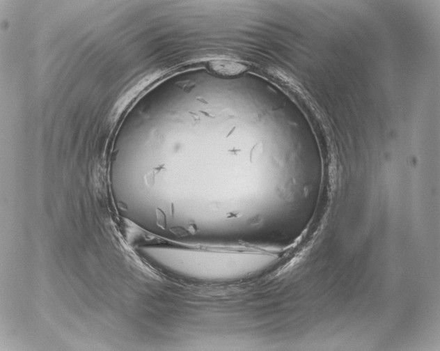 X0000052601129200507221627